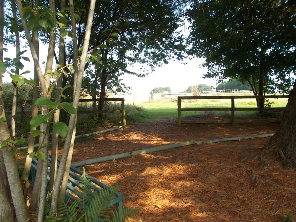 Tudor Lodge With Pool & Bbq Cabin Liskeard Exterior photo